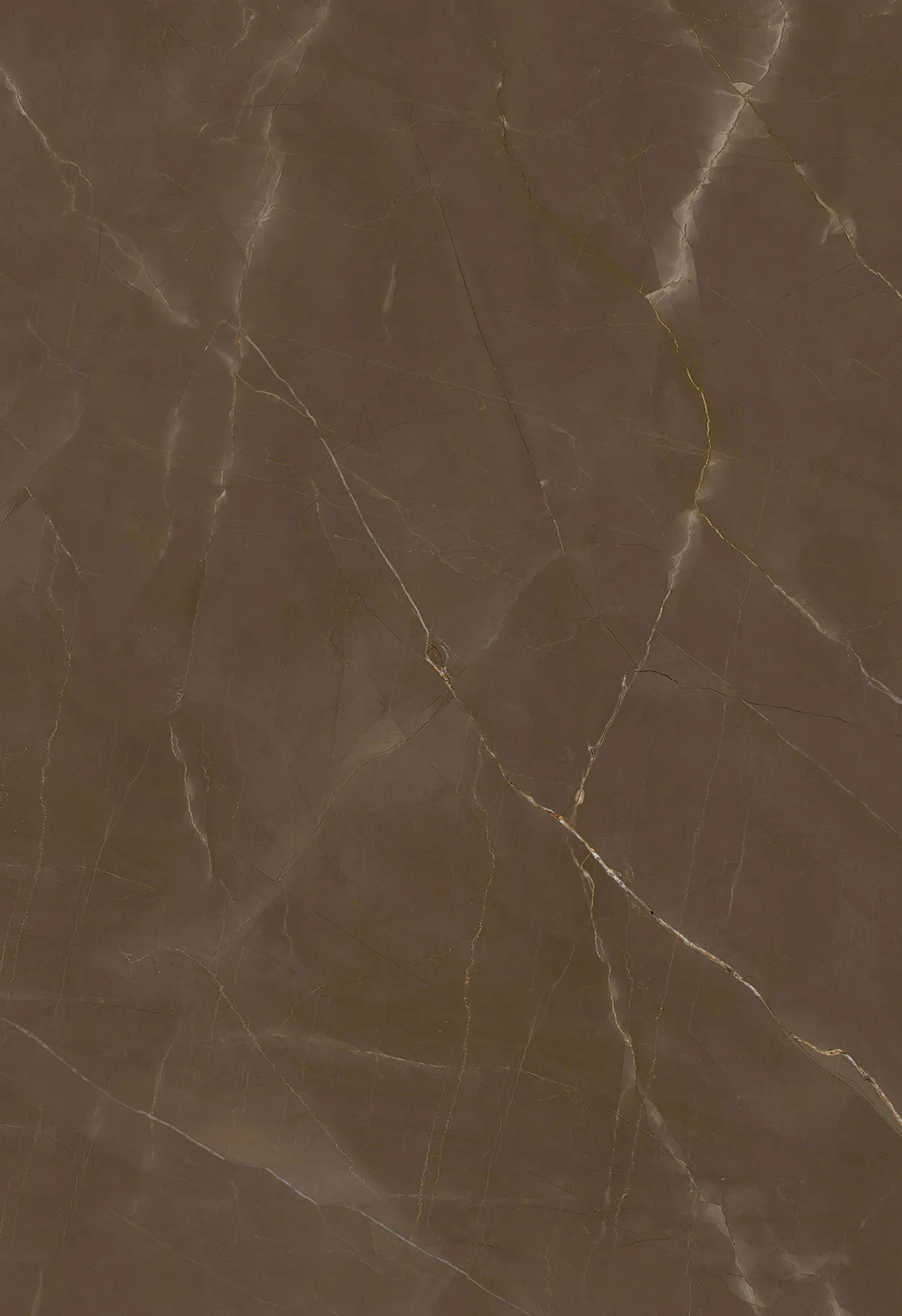 The New Classtone / Pulpis